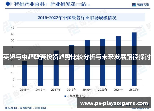 英超与中超联赛投资趋势比较分析与未来发展路径探讨
