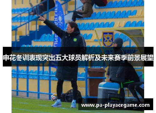 申花冬训表现突出五大球员解析及未来赛季前景展望
