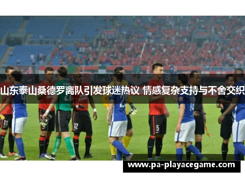 山东泰山桑德罗离队引发球迷热议 情感复杂支持与不舍交织