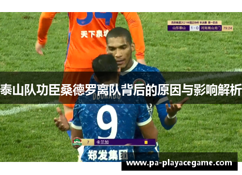 泰山队功臣桑德罗离队背后的原因与影响解析
