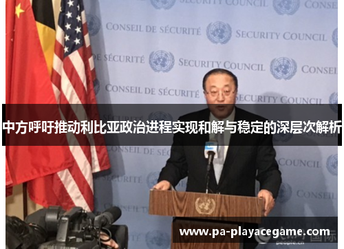 中方呼吁推动利比亚政治进程实现和解与稳定的深层次解析