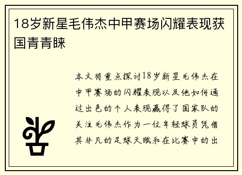 18岁新星毛伟杰中甲赛场闪耀表现获国青青睐